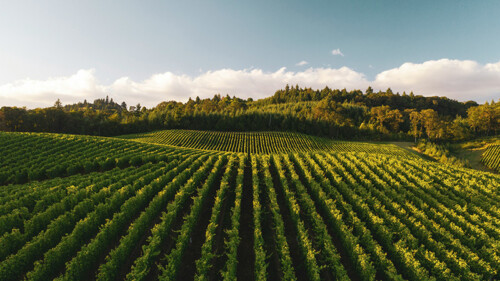 10 of the Oldest Wineries in the World, Mapped