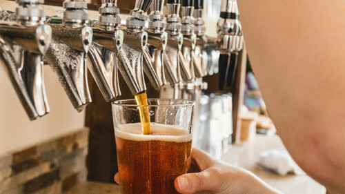 The States That Drink the Most Beer in America [MAP] (2025)