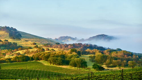 6 of California’s Most Underrated Wine Regions [MAP]