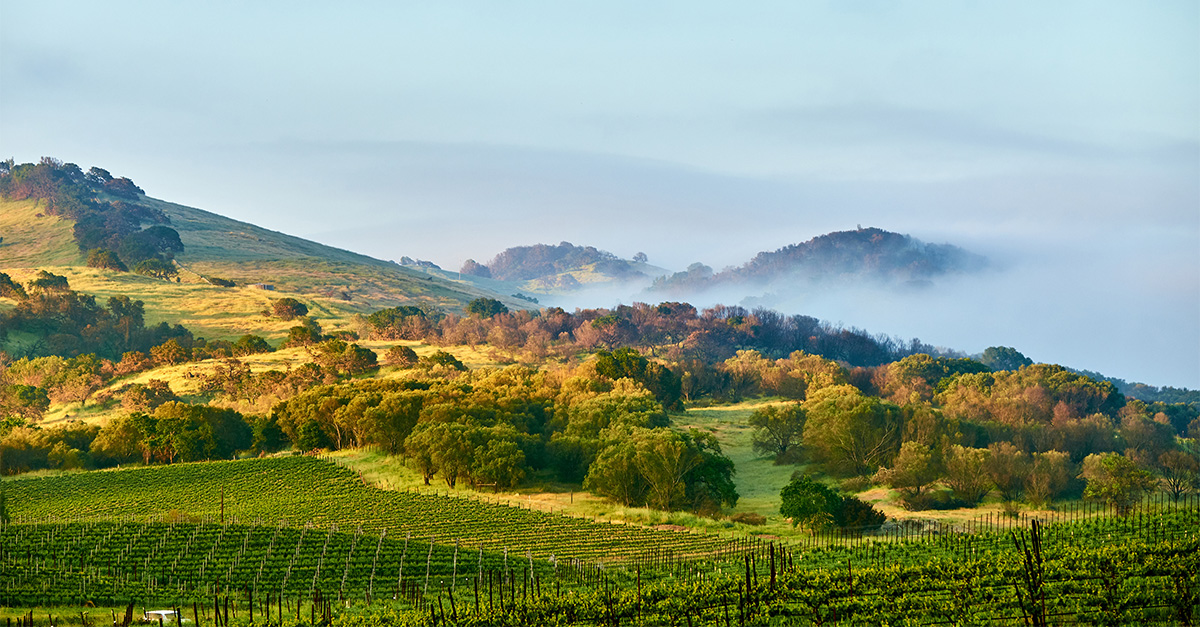 6 of Californias Most Underrated Wine Regions [MAP]
