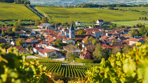 The Sommeliers’ Guide to Visiting Champagne
