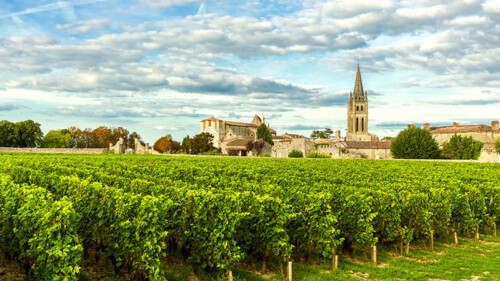 Booze News Weekly Roundup: Supreme Court to Review Lawsuit Over a 6-Pack of Beer, Plummeting Vineyard Prices in Bordeaux, and More