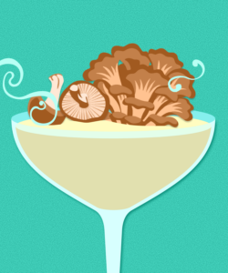 More Than Functional Fungi: How Mushrooms Are Flavoring Wine and Spirits