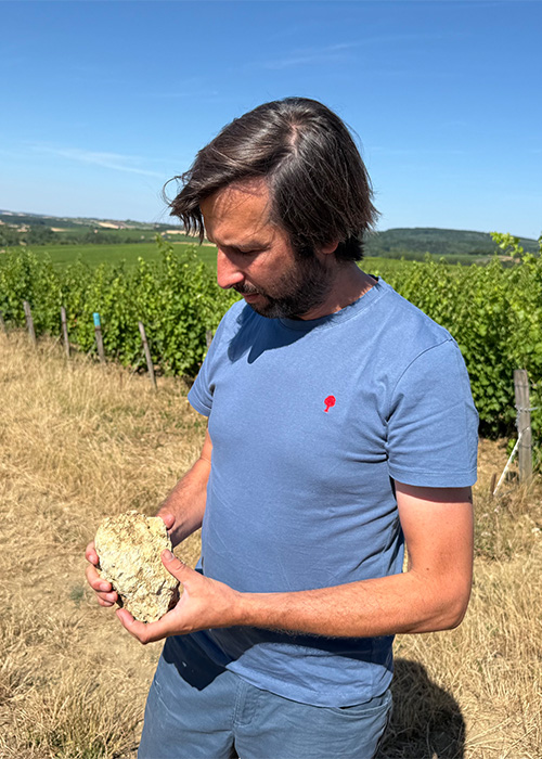 These are 18 of the best Loire Valley white wines beyond Sancerre.