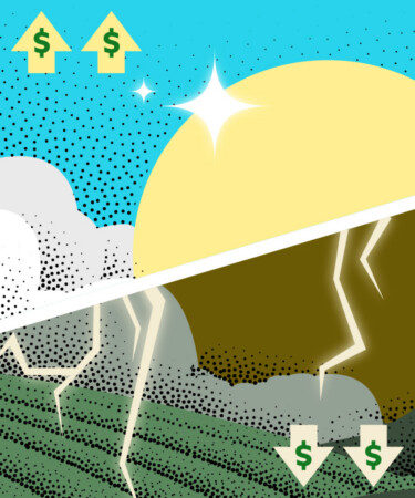 Half of All Napa Vineyards Lost Money Last Year. How Are the Other Wineries Surviving?