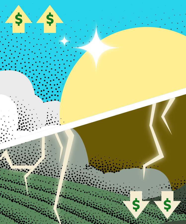 Half of All Napa Vineyards Lost Money Last Year. How Are the Other Wineries Surviving?