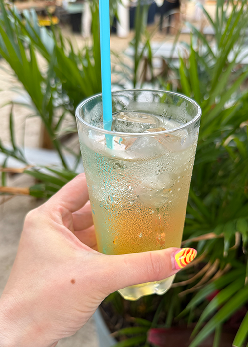 This summer, Fort Greene’s hardest reservation is hosting a seasonal pop-up on Governor's Island called Theodora Beach Club.