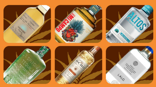 We Asked 15 Bartenders: What’s Your Go-To Tequila? (2026)