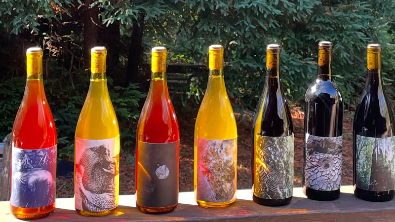 Dorsal Wines is one of the winemakers defining the next generation of California wine, according to sommeliers.