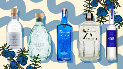 The 30 Best Gins for 2026
