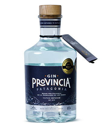 Provincia Patagonia Gin is one of the best gins for 2026.