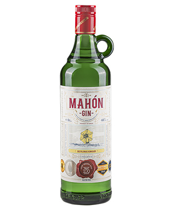 Xoriguer Mahón Gin is one of the best gins for 2026.