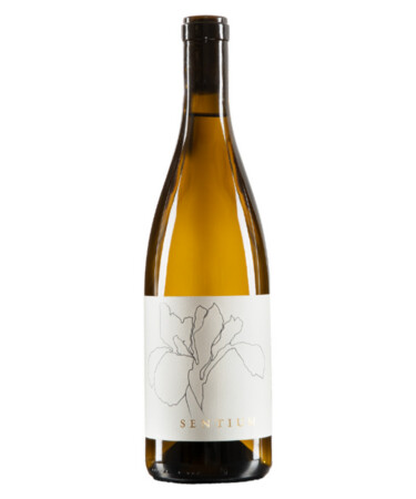 Sentium Sauvignon Blanc Mendocino