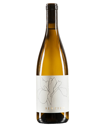 Sentium Sauvignon Blanc Mendocino 2024 is one of the best Sauvignon Blancs to drink in 2026.