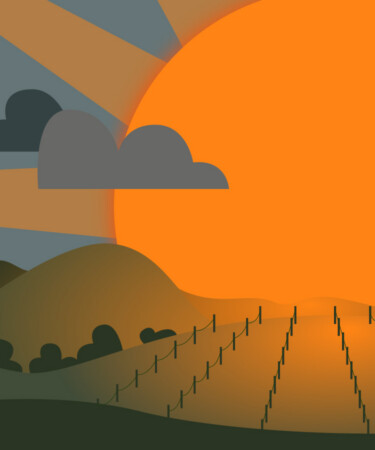 As Climate Change Shifts Harvest Earlier, Winemakers Face a New Set of Challenges Beyond the Vineyard
