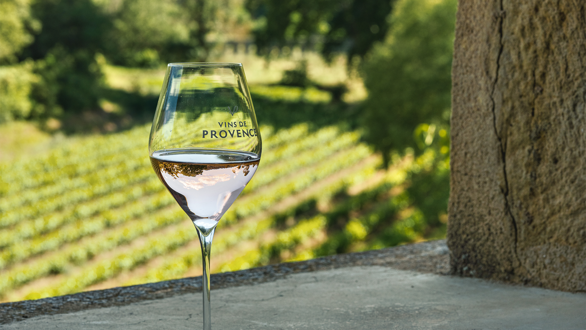 Why Provence Sets the Gold Standard for 