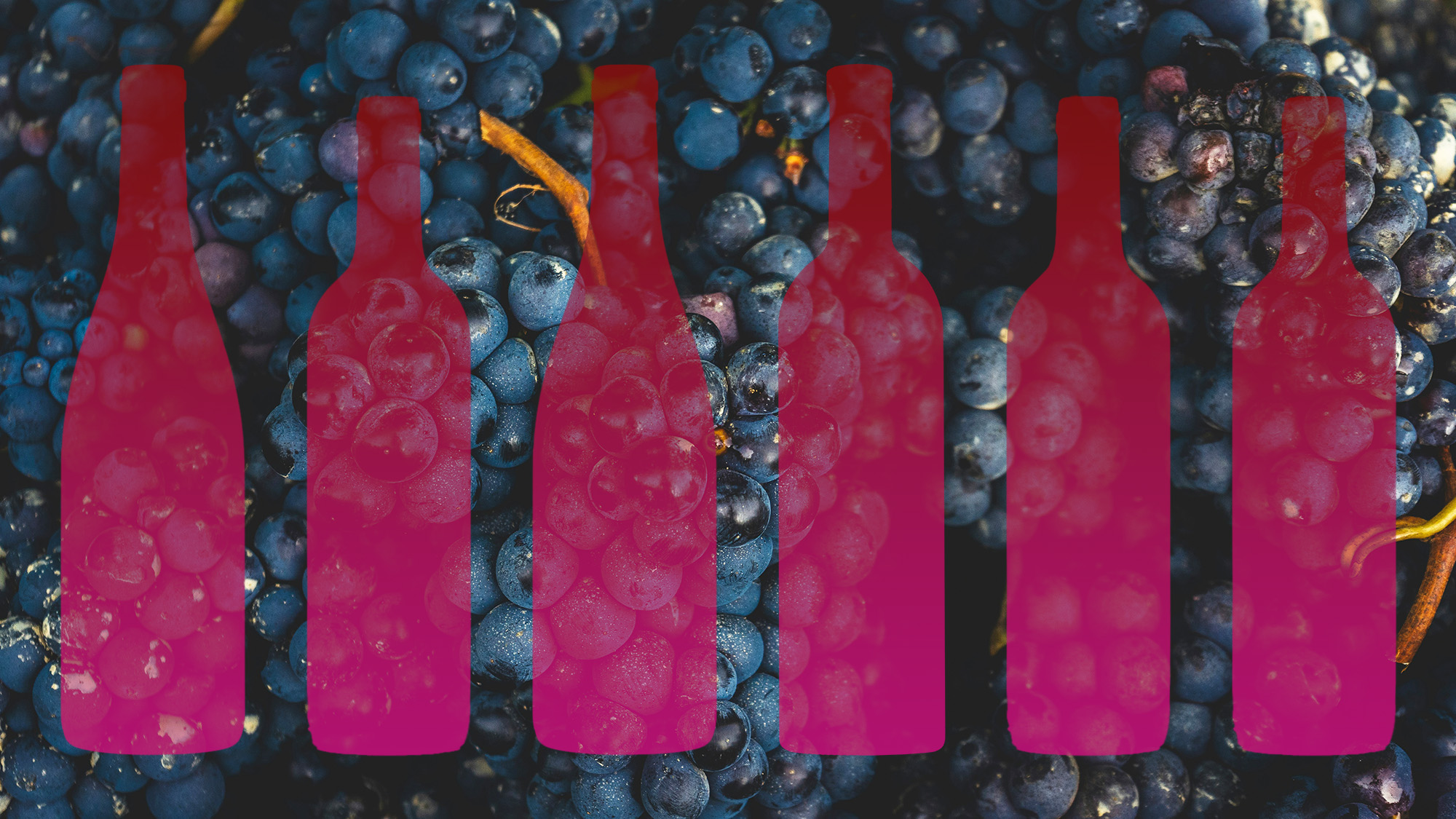 We Asked 12 Wine Pros: What’s the Most U