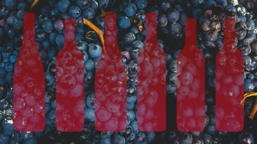 We Asked 12 Wine Pros: What’s the Most Underrated Red Wine?