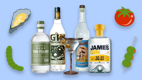 10 of the Best Savory Gins for Dirty Martinis