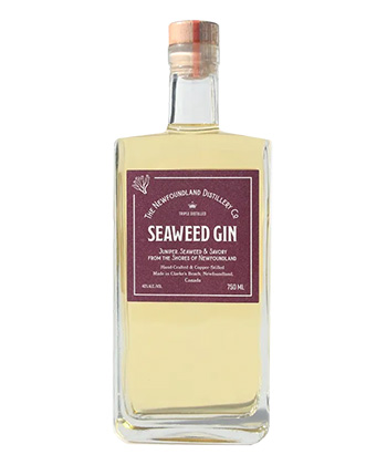 The Newfoundland Distillery Company Seaweed Gin is one of the best gins for Dirty Martinis.
