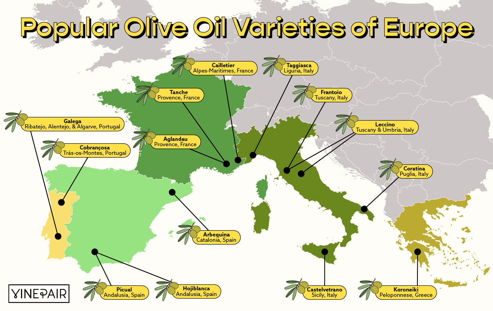 We mapped the most popular olives from Europe and described the oils they produce.