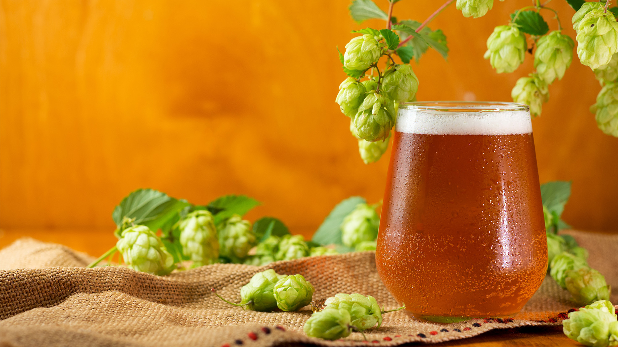 The Highest-Rated IPA in Every State (20