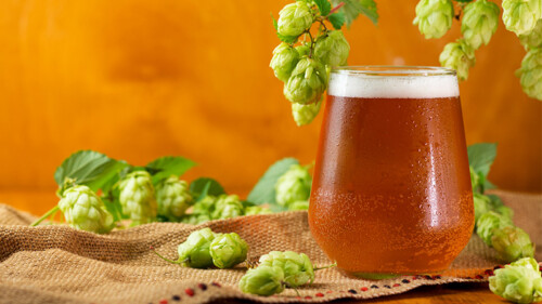 The Highest-Rated IPA in Every State (2026) [MAP]