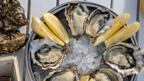The Ultimate Oyster Flavor Map [Infographic]