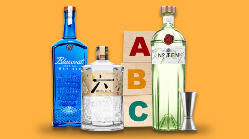 We Asked 15 Bartenders: What’s the Best Gin for Beginners? (2026)
